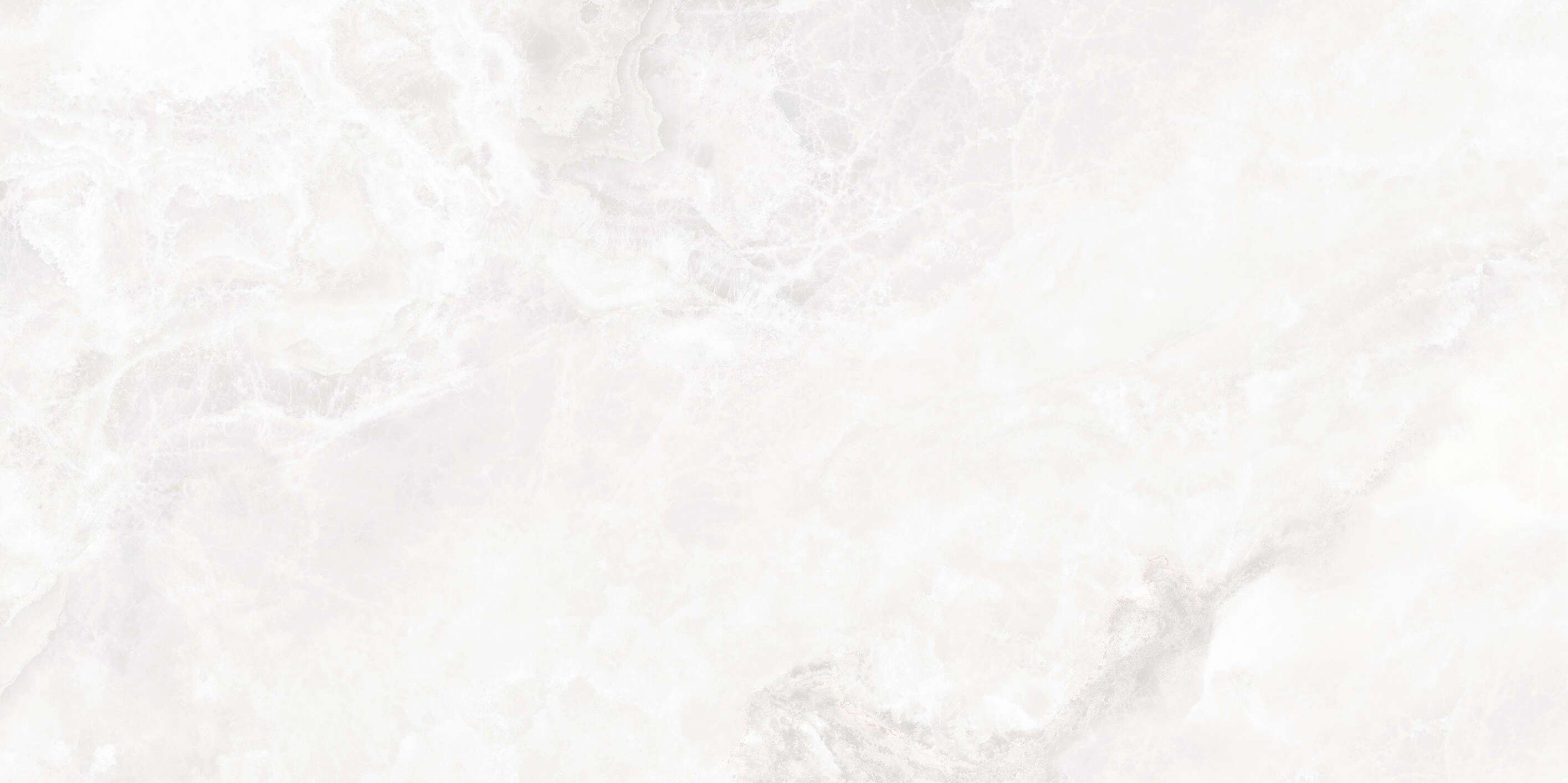 24 x 48
