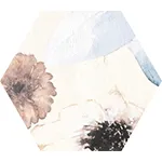 Hexagon