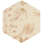 Elongated Hexagon