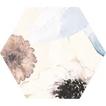 Hexagon