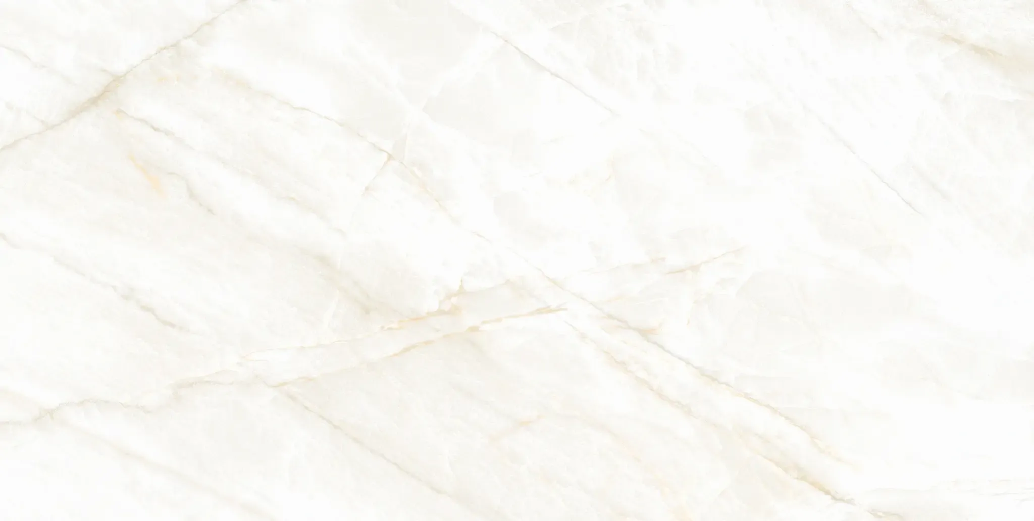 Arke Bone 12x24 Polished Porcelain Tile
