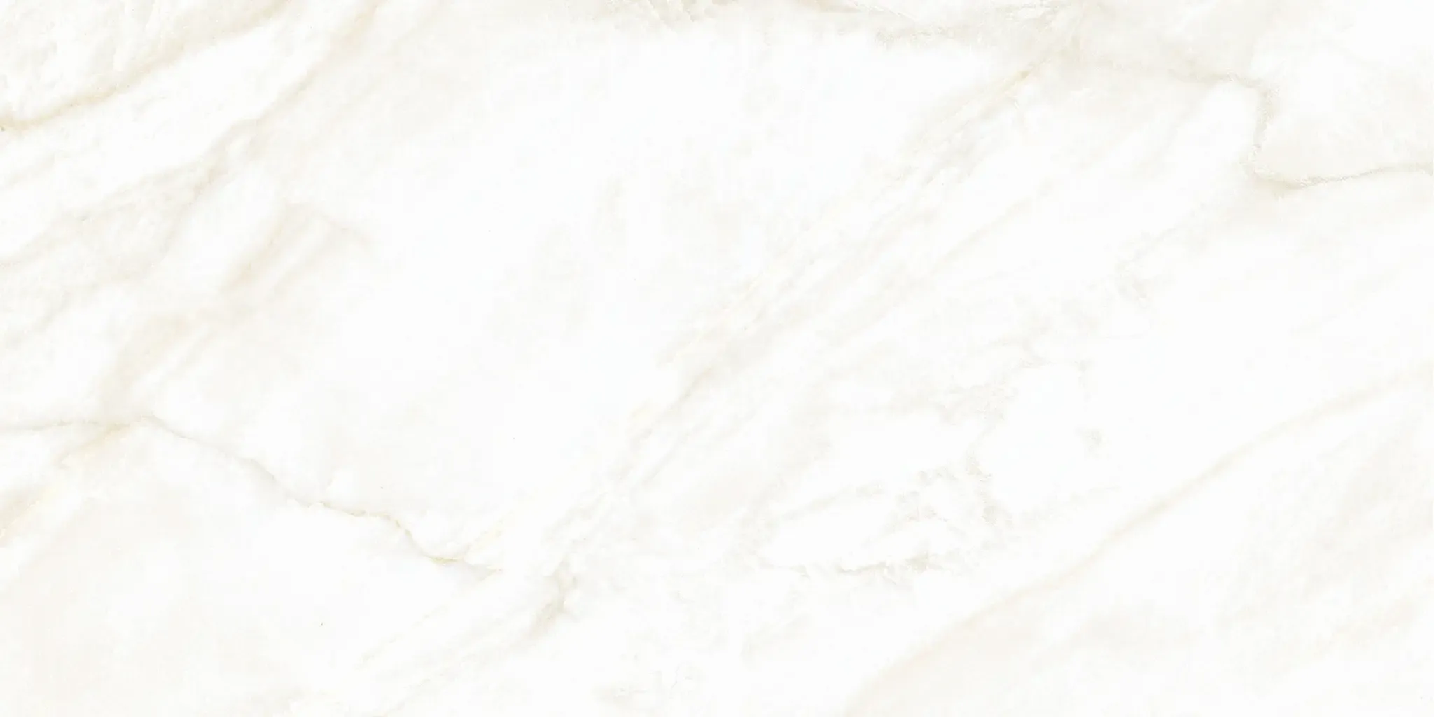 Arke Bone 12x24 Polished Porcelain Tile