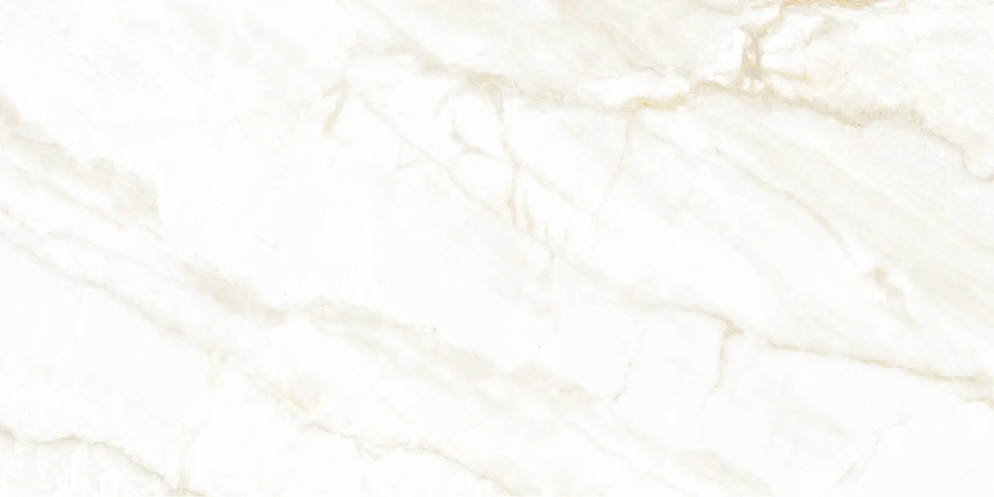 Arke Bone 12x24 Polished Porcelain Tile