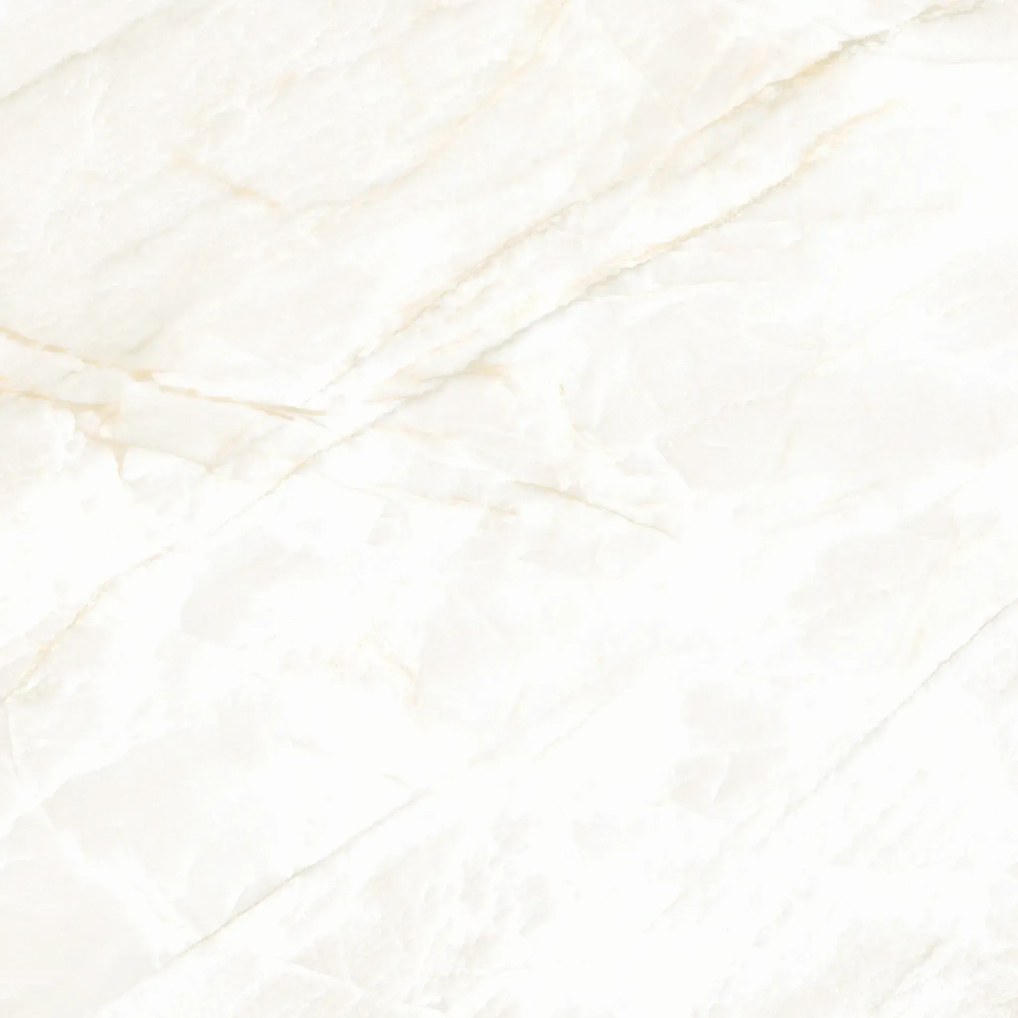 Arke Sample - Arke Bone 12x24 Matte Porcelain Tile
