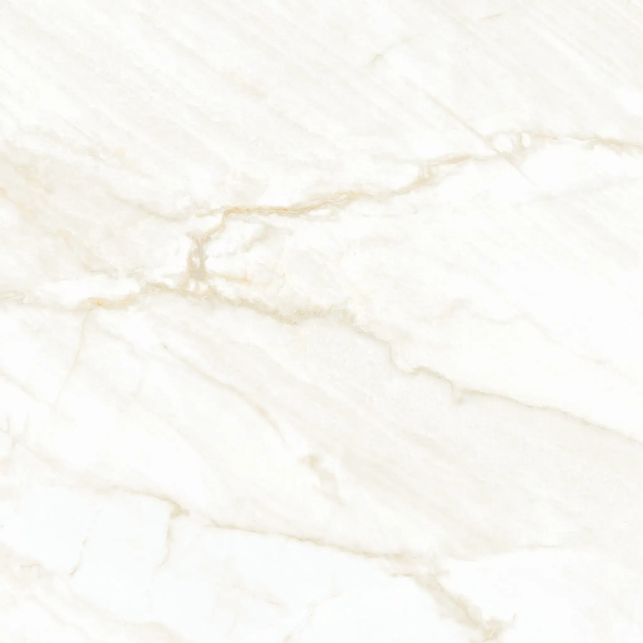Arke Sample - Arke Bone 12x24 Matte Porcelain Tile