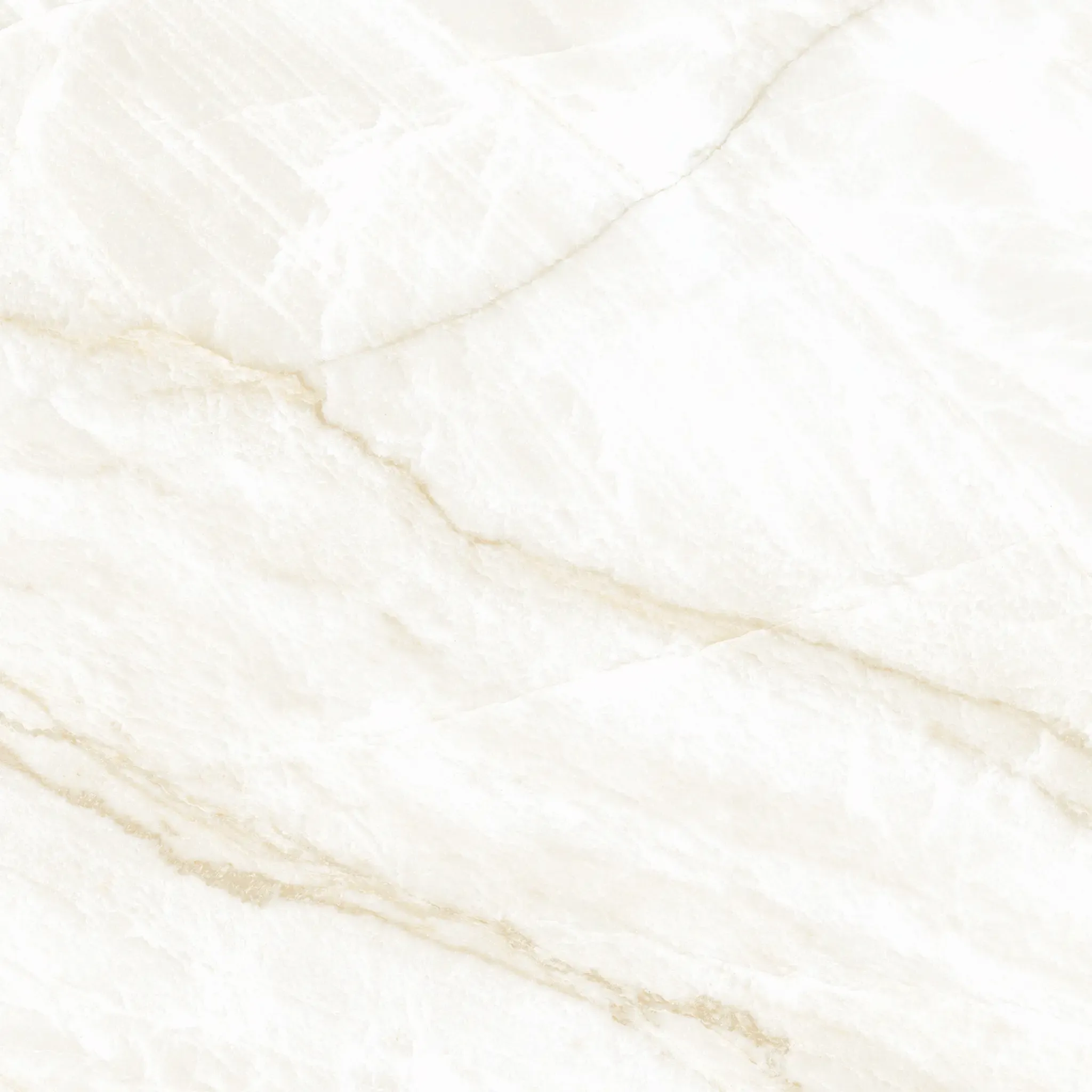 Arke Bone 24x24 Matte Porcelain Tile