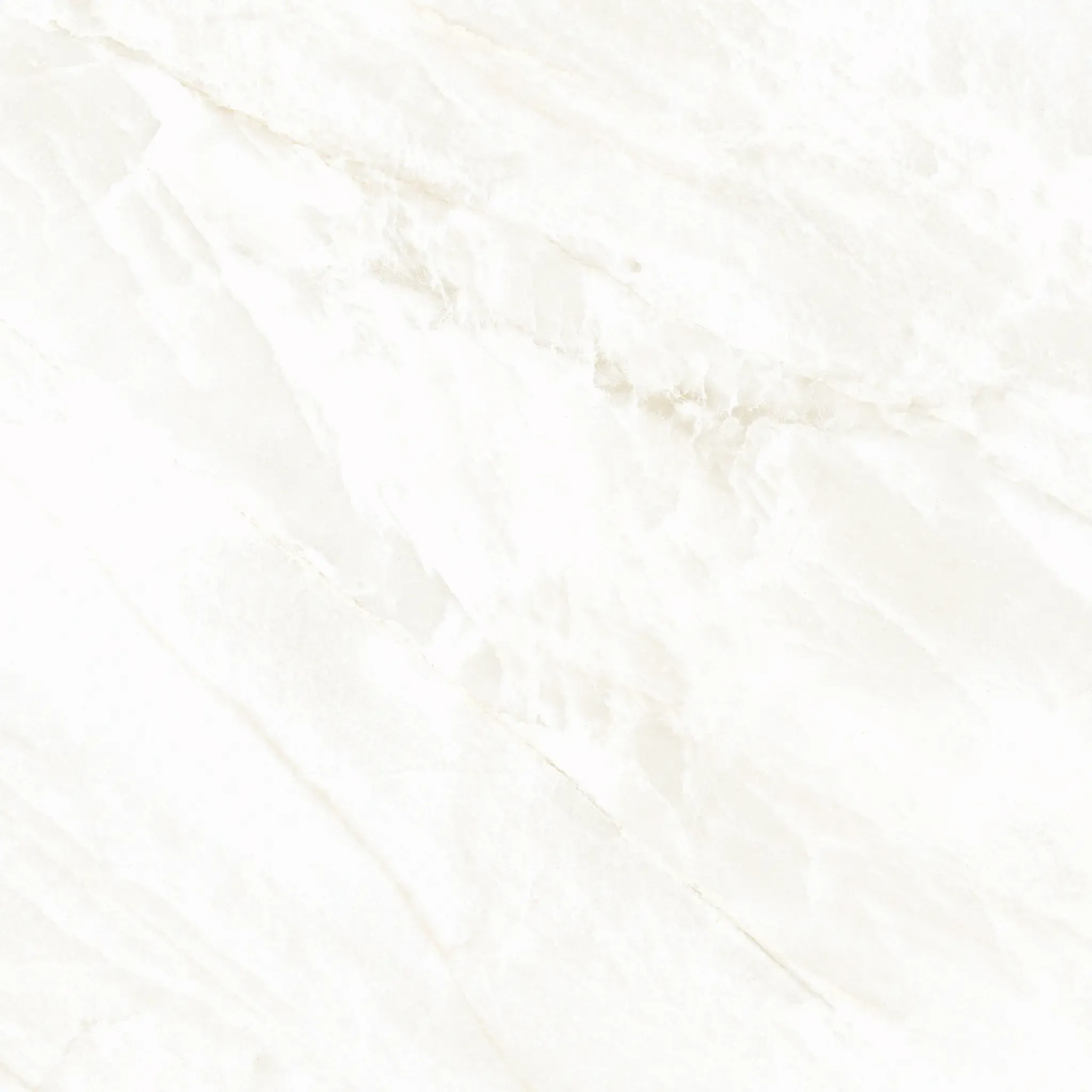 Arke Bone 24x24 Matte Porcelain Tile