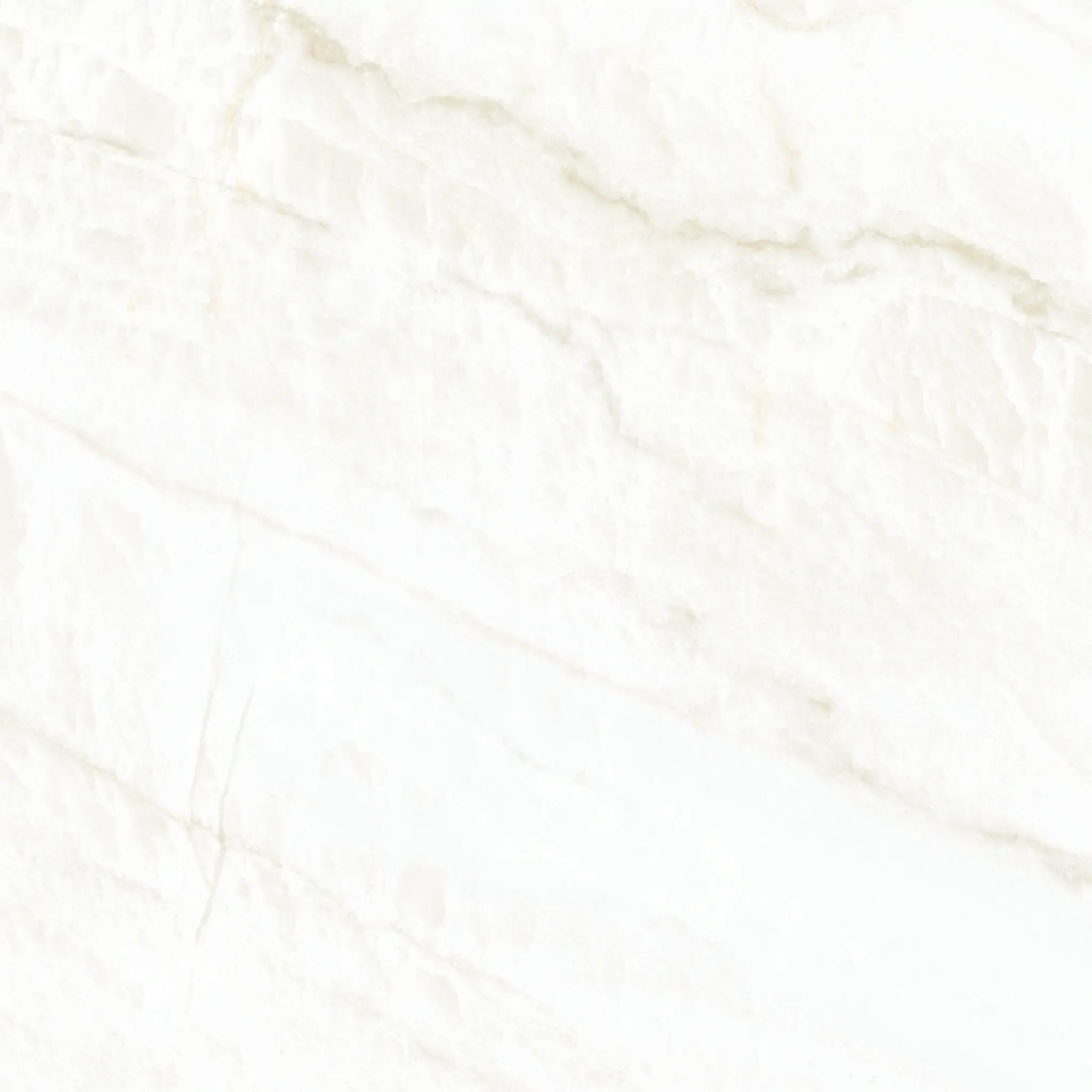 Arke Bone 24x24 Matte Porcelain Tile