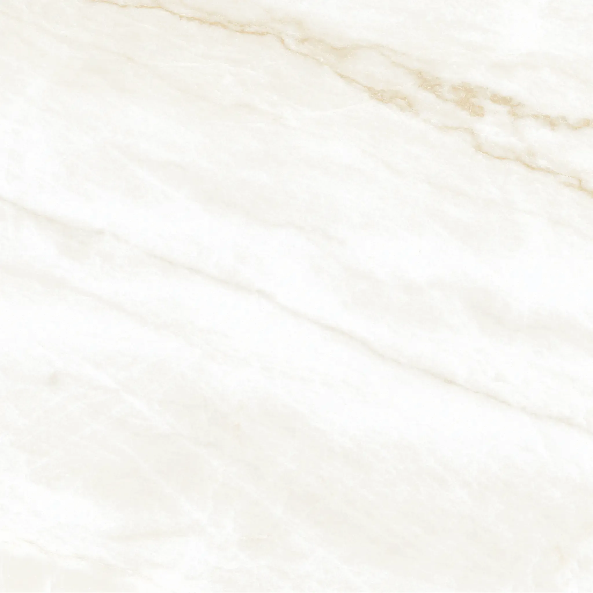 Arke Bone 24x24 Matte Porcelain Tile