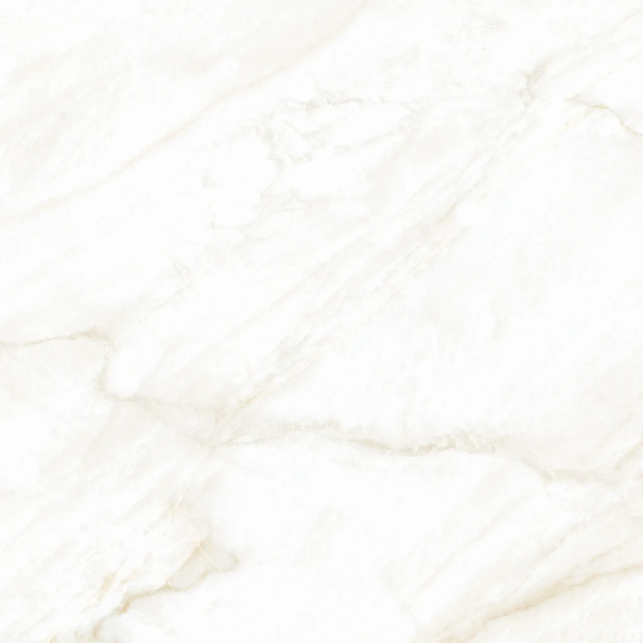 Arke Bone 24x24 Sugar Lappato Porcelain Tile