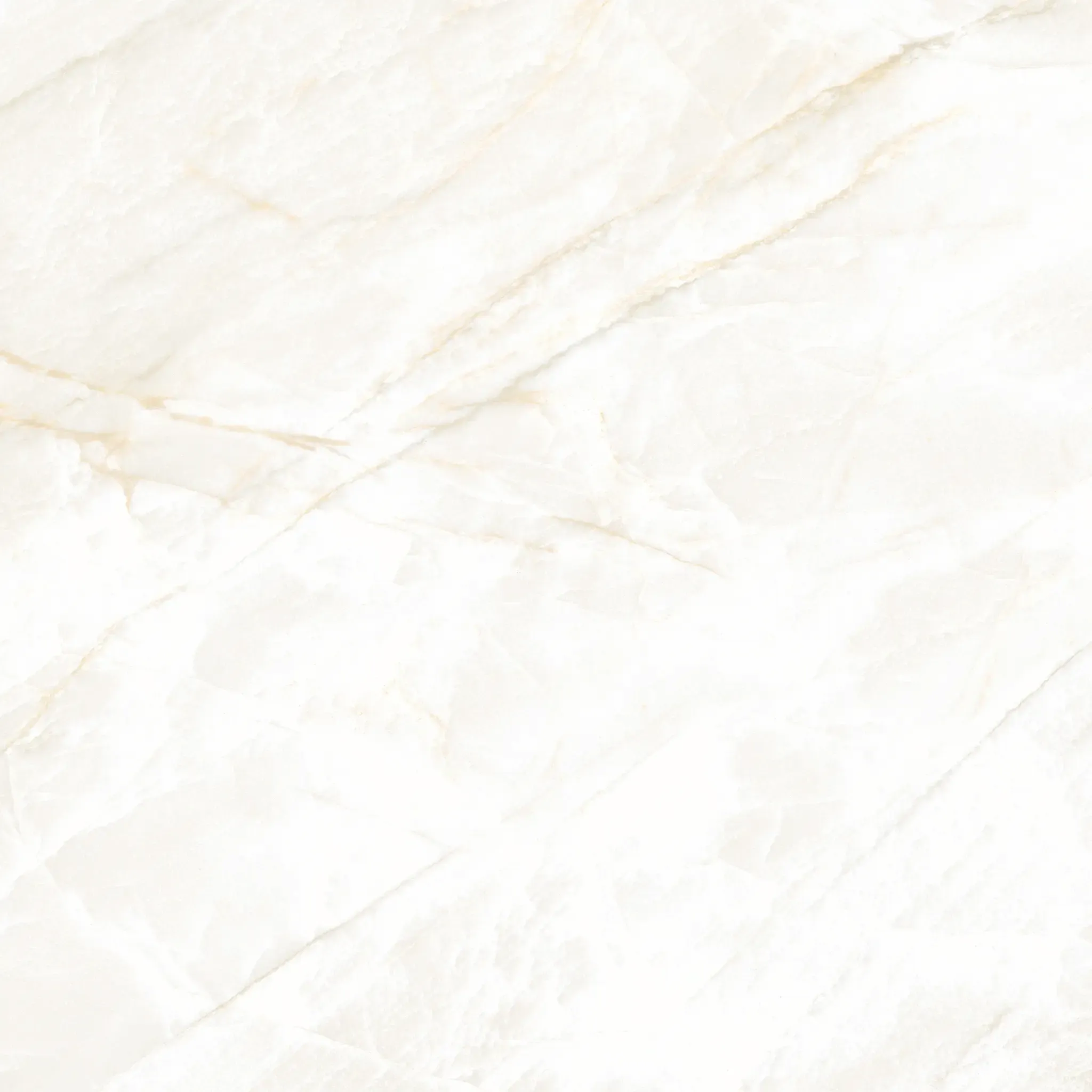 Arke Sample - Arke Bone 24x24 Sugar Lappato Porcelain Tile