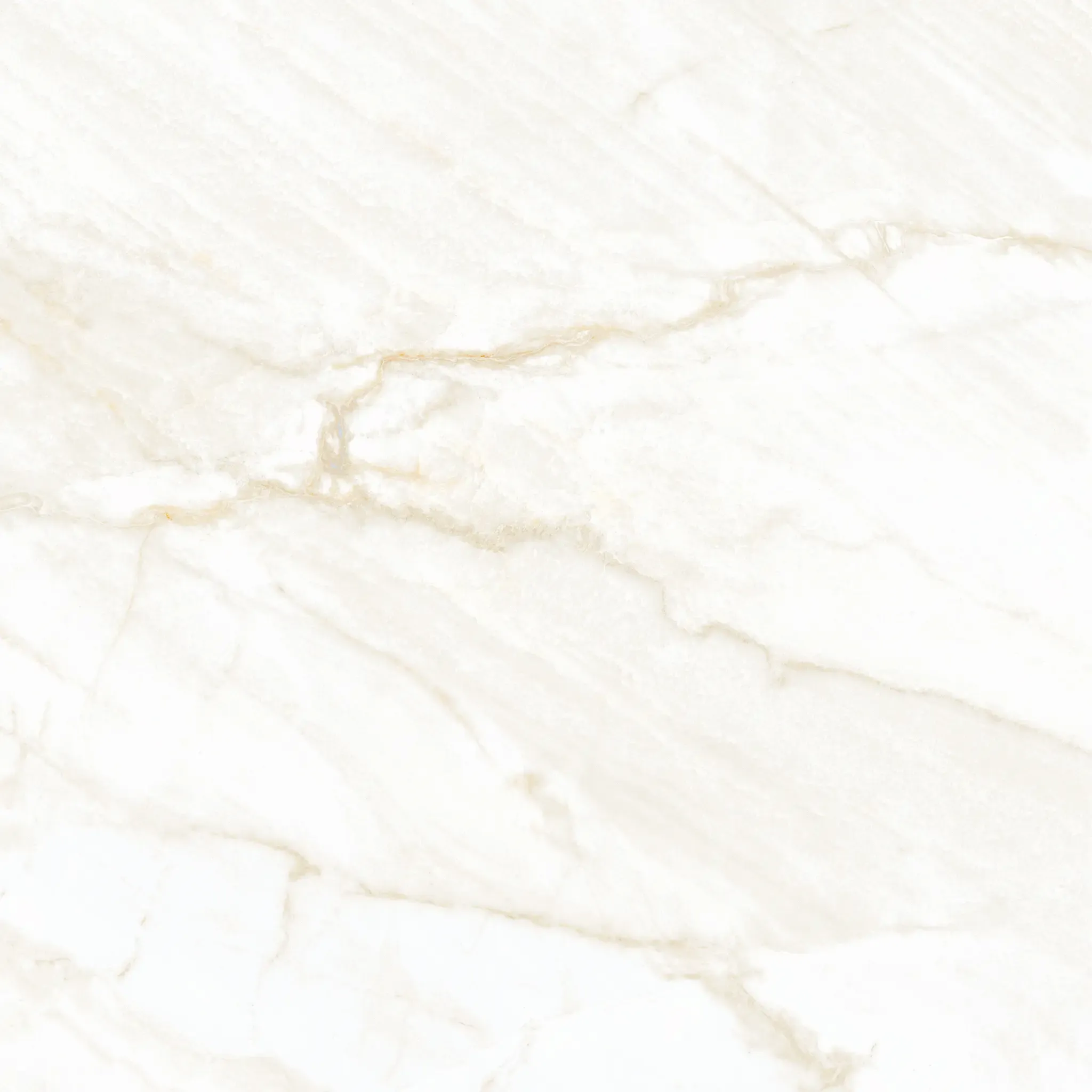 Arke Sample - Arke Bone 24x24 Sugar Lappato Porcelain Tile