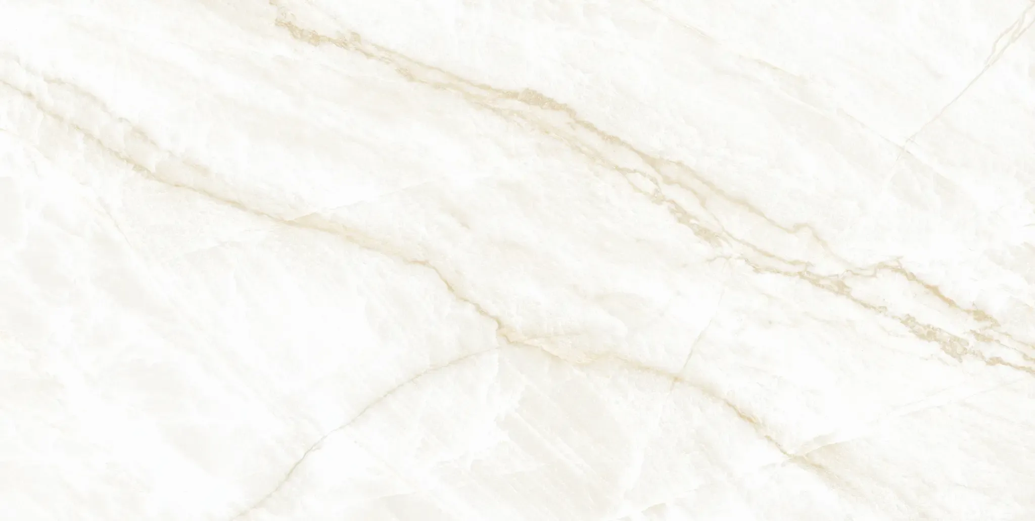 Arke Bone 24x48 Matte Porcelain Tile