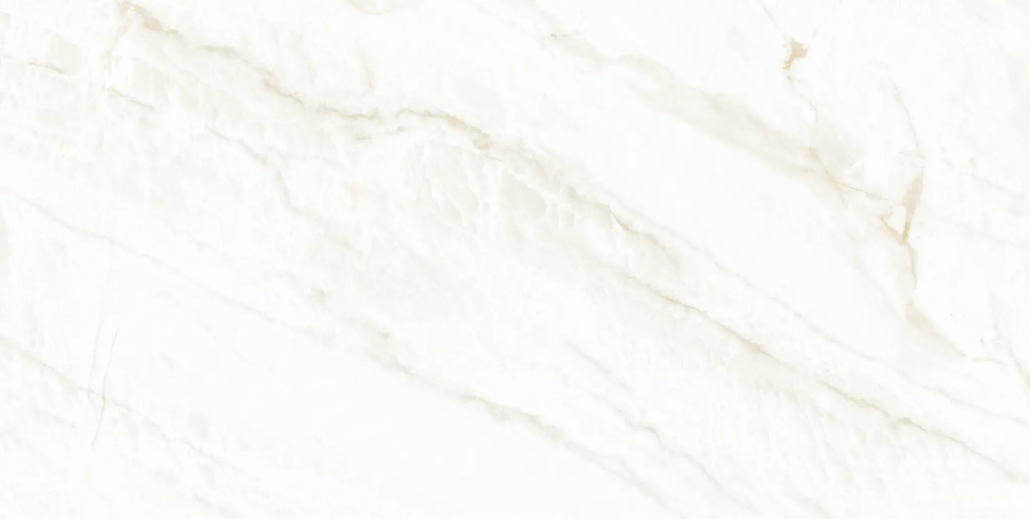 Arke Bone 24x48 Matte Porcelain Tile