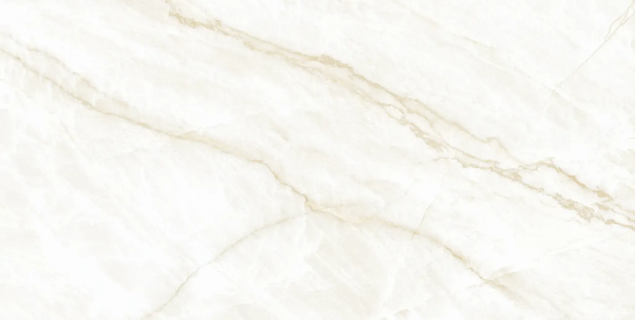 Arke Sample - Arke Bone 24x48 Matte Porcelain Tile