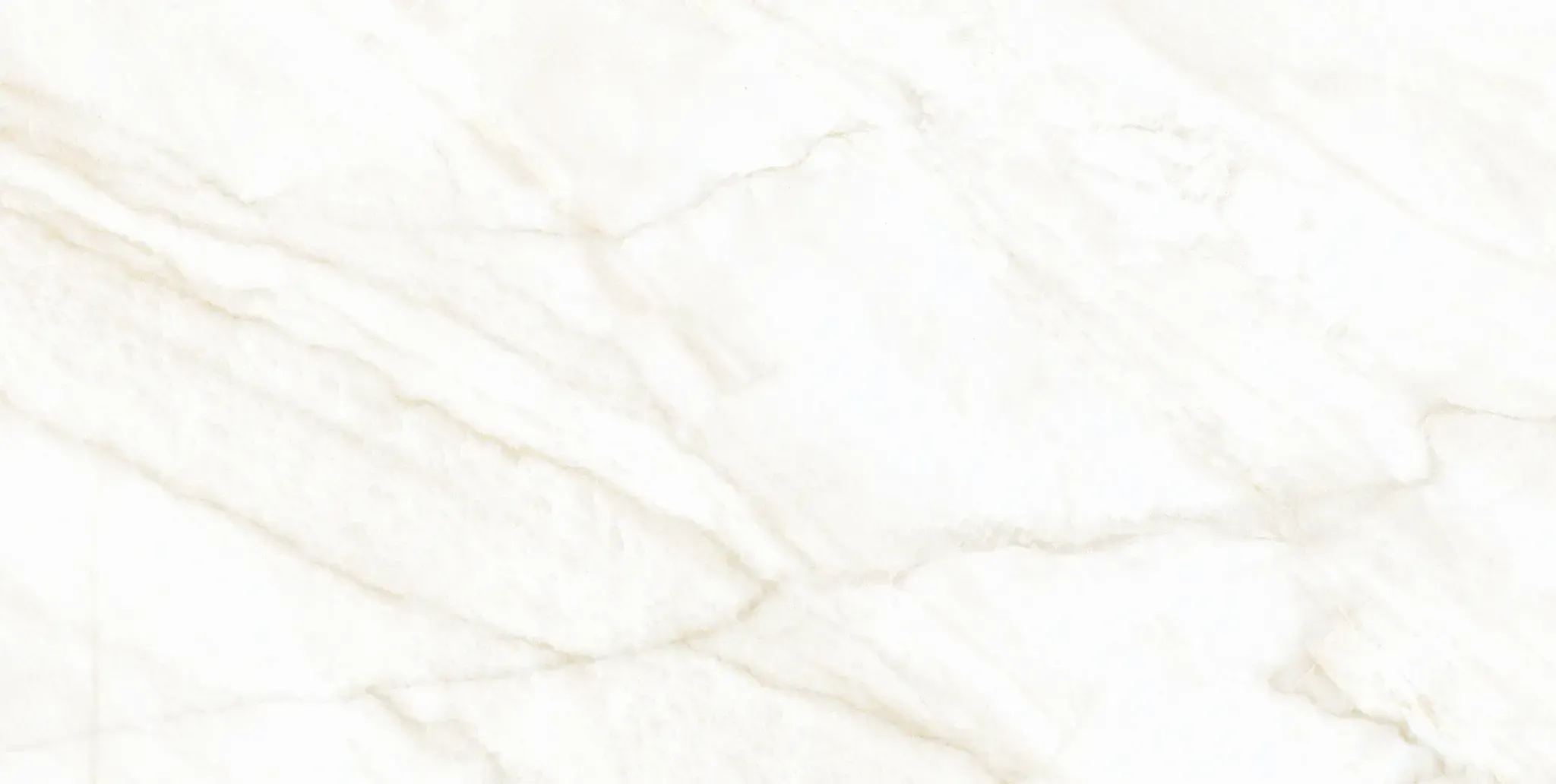 Arke Sample - Arke Bone 24x24 Matte Porcelain Tile