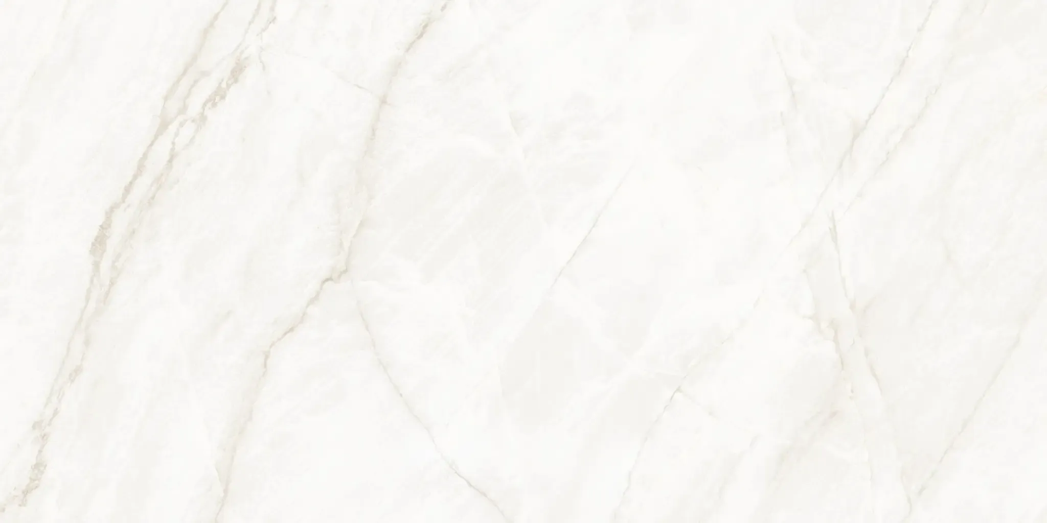 Arke Bone 24x48 Polished Porcelain Tile