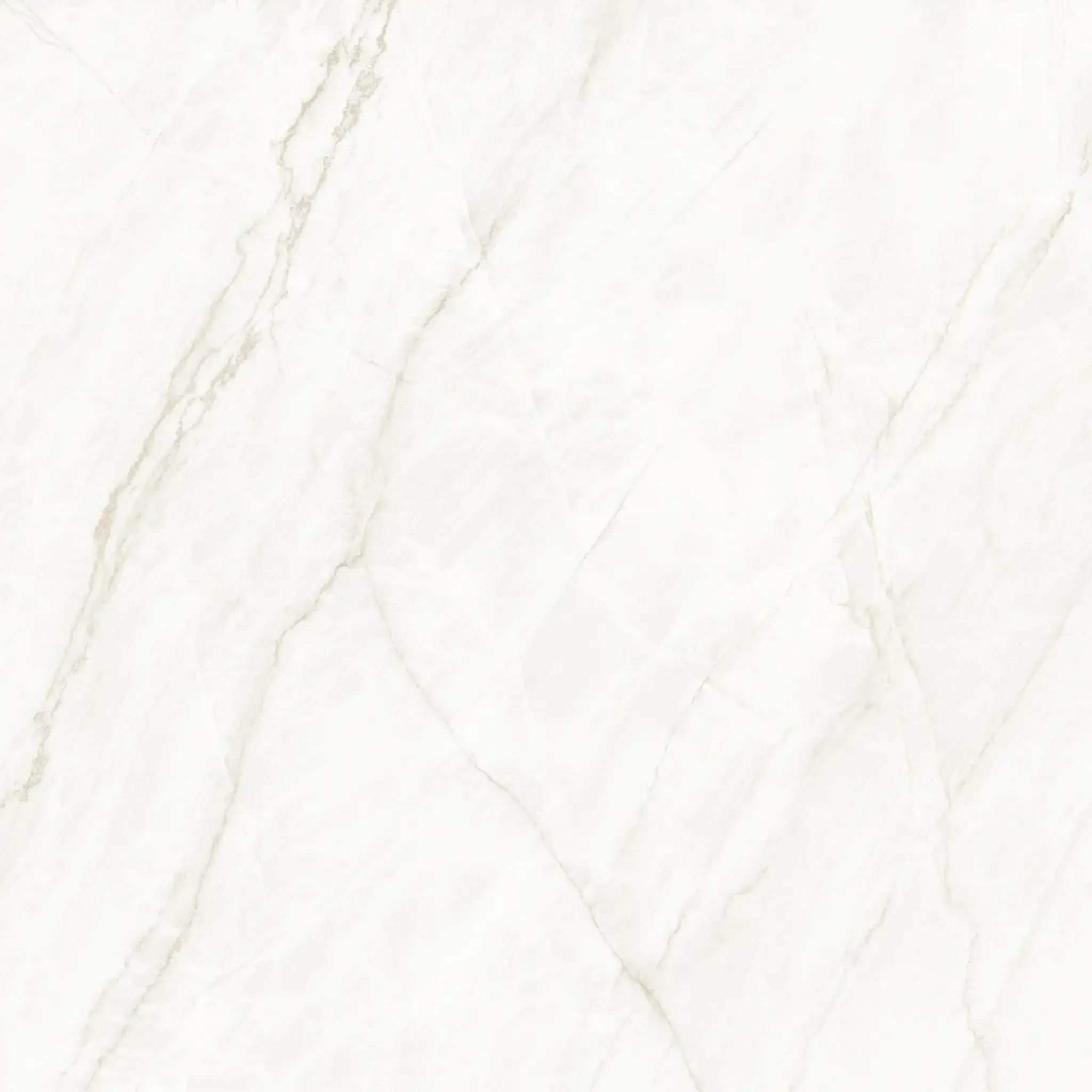 Arke Sample - Arke Bone 48x48 Matte Porcelain Tile
