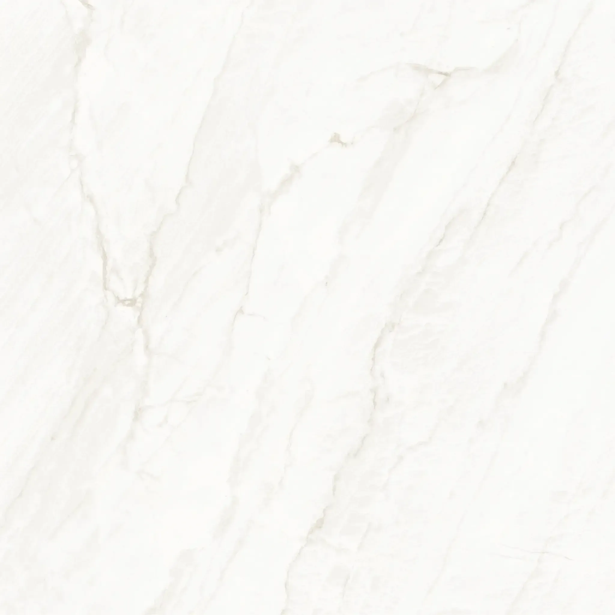Arke Sample - Arke Bone 48x48 Matte Porcelain Tile