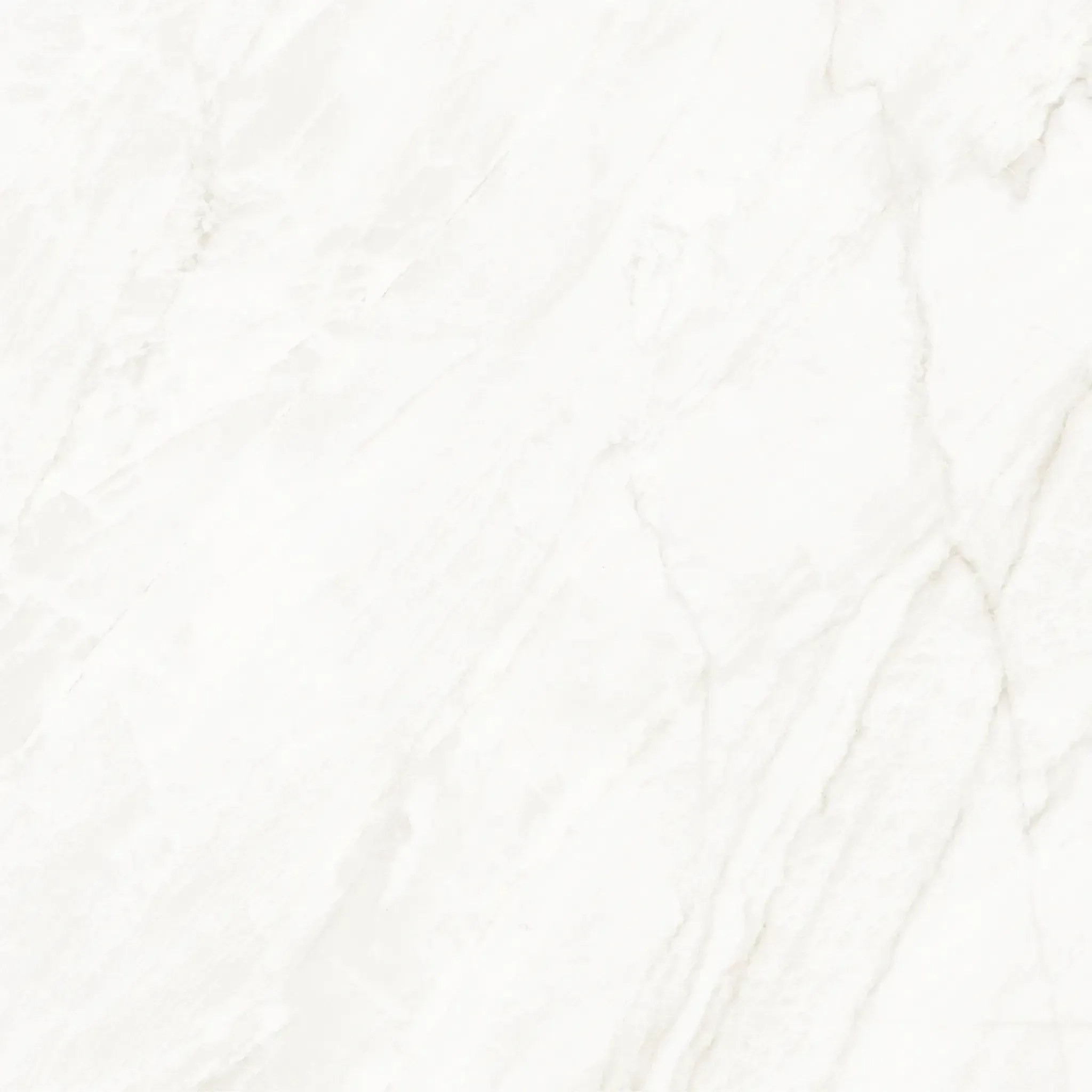 Arke Sample - Arke Bone 48x48 Matte Porcelain Tile