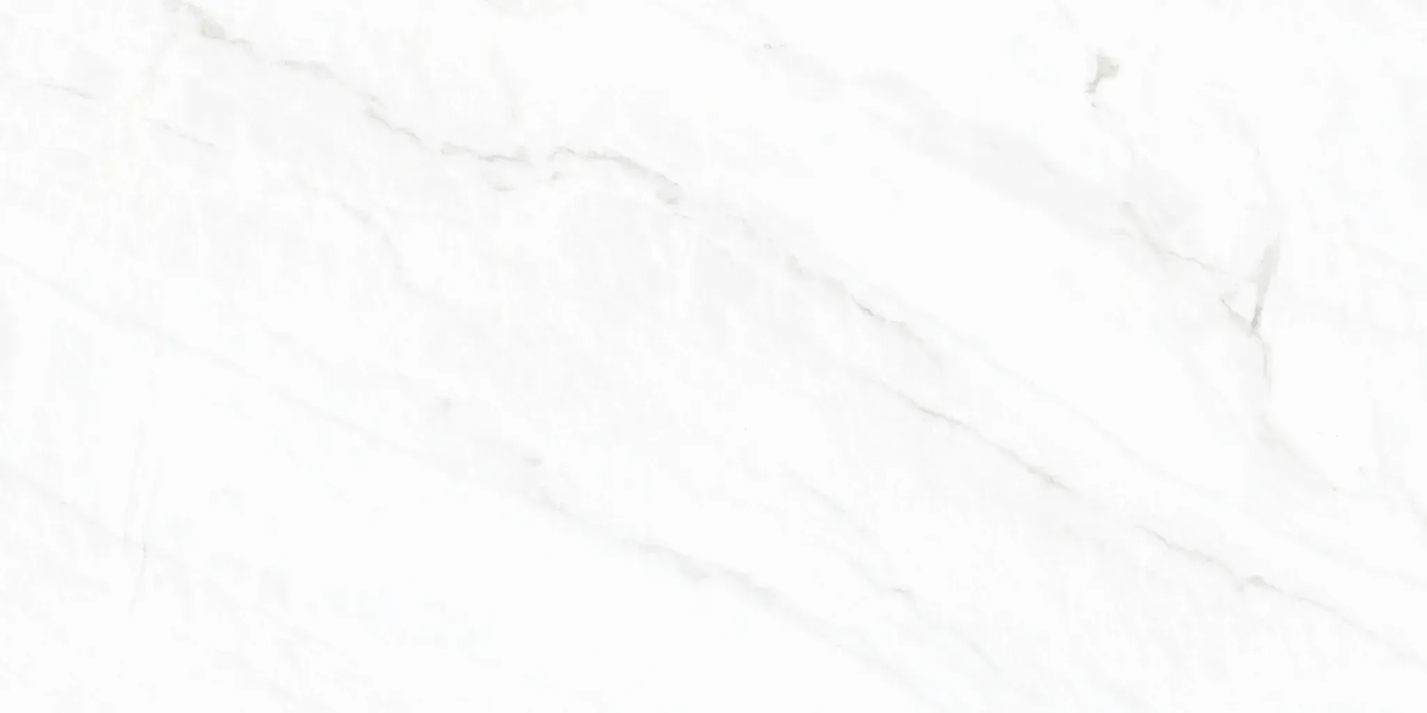 Arke Sample - Arke White 24x48 Matte Porcelain Tile