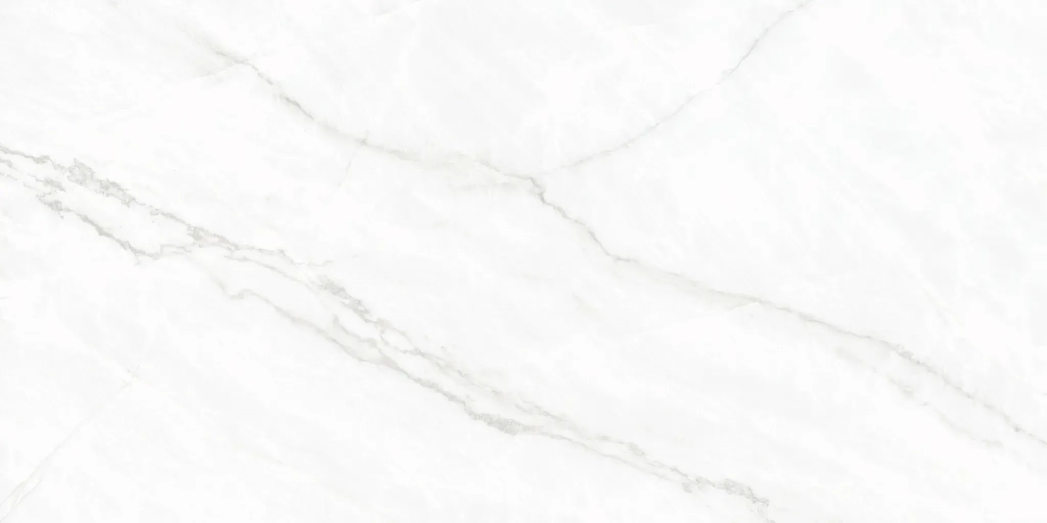 Arke Sample - Arke White 24x48 Matte Porcelain Tile