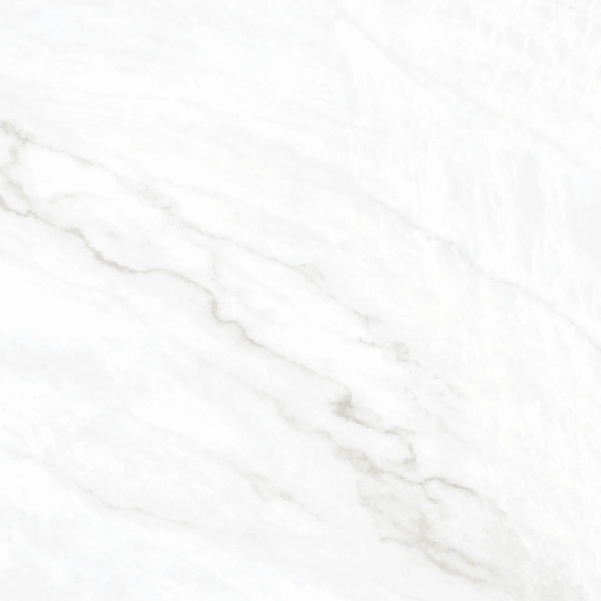 Arke White 48x48 Matte Porcelain Tile