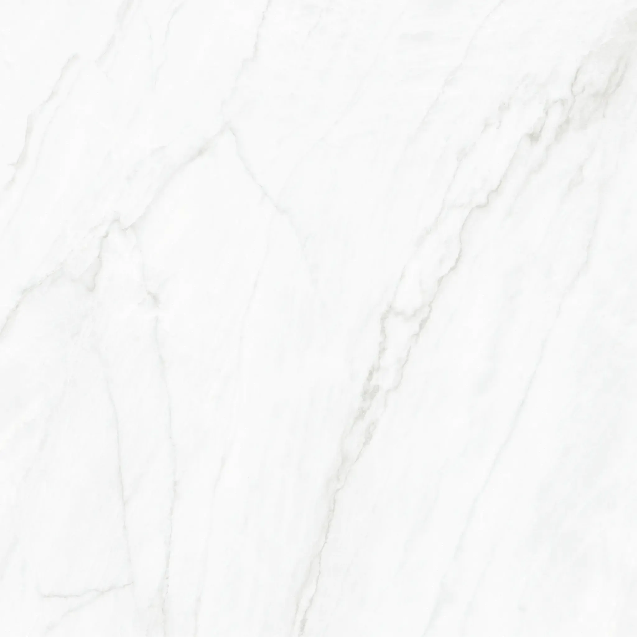 Arke White 48x48 Sugar Polished Porcelain Tile