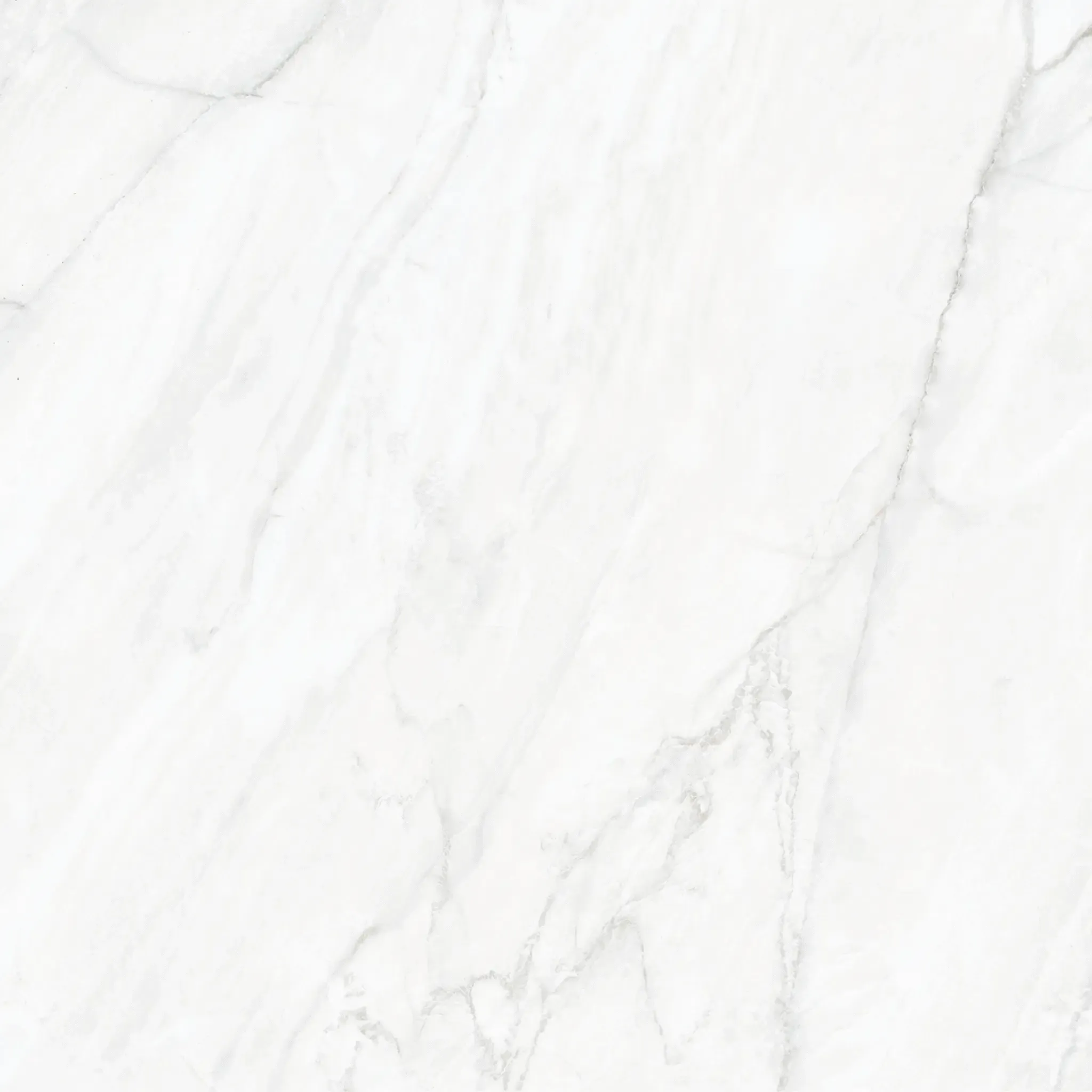 Arke White 48x48 Sugar Polished Porcelain Tile