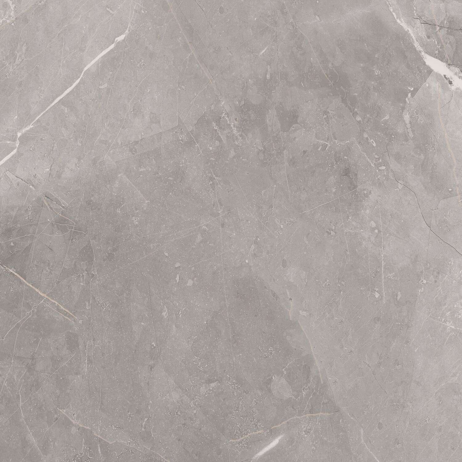 Blackwall Gray 24x24 Lappato Porcelain Tile