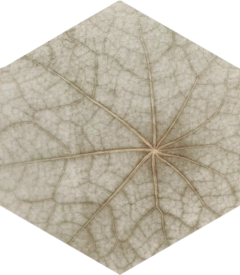 Bloom Multicolor 5x6 Semi - Matte Hexagon Ceramic Wall Tile