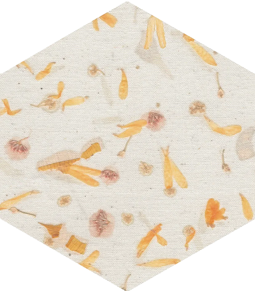 Bloom Sample - Bloom Multicolor 5x6 Semi - Matte Hexagon Ceramic Wall Tile