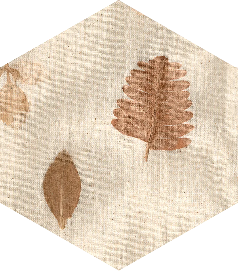 Bloom Sample - Bloom Multicolor 5x6 Semi - Matte Hexagon Ceramic Wall Tile