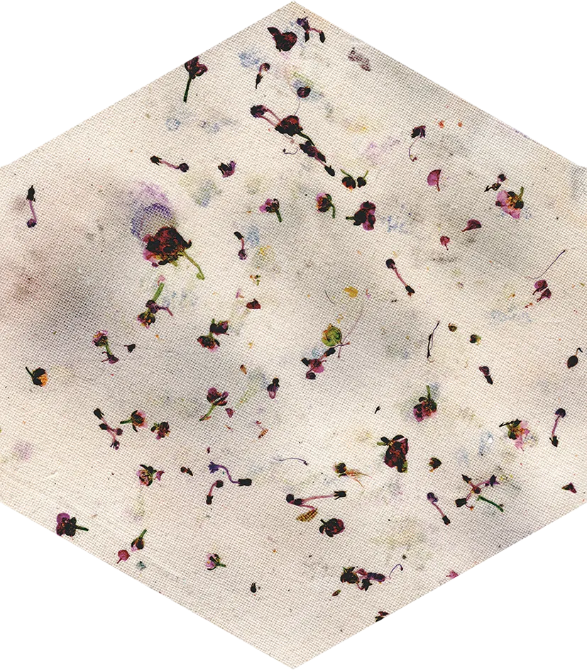 Bloom Sample - Bloom Multicolor 5x6 Semi - Matte Hexagon Ceramic Wall Tile