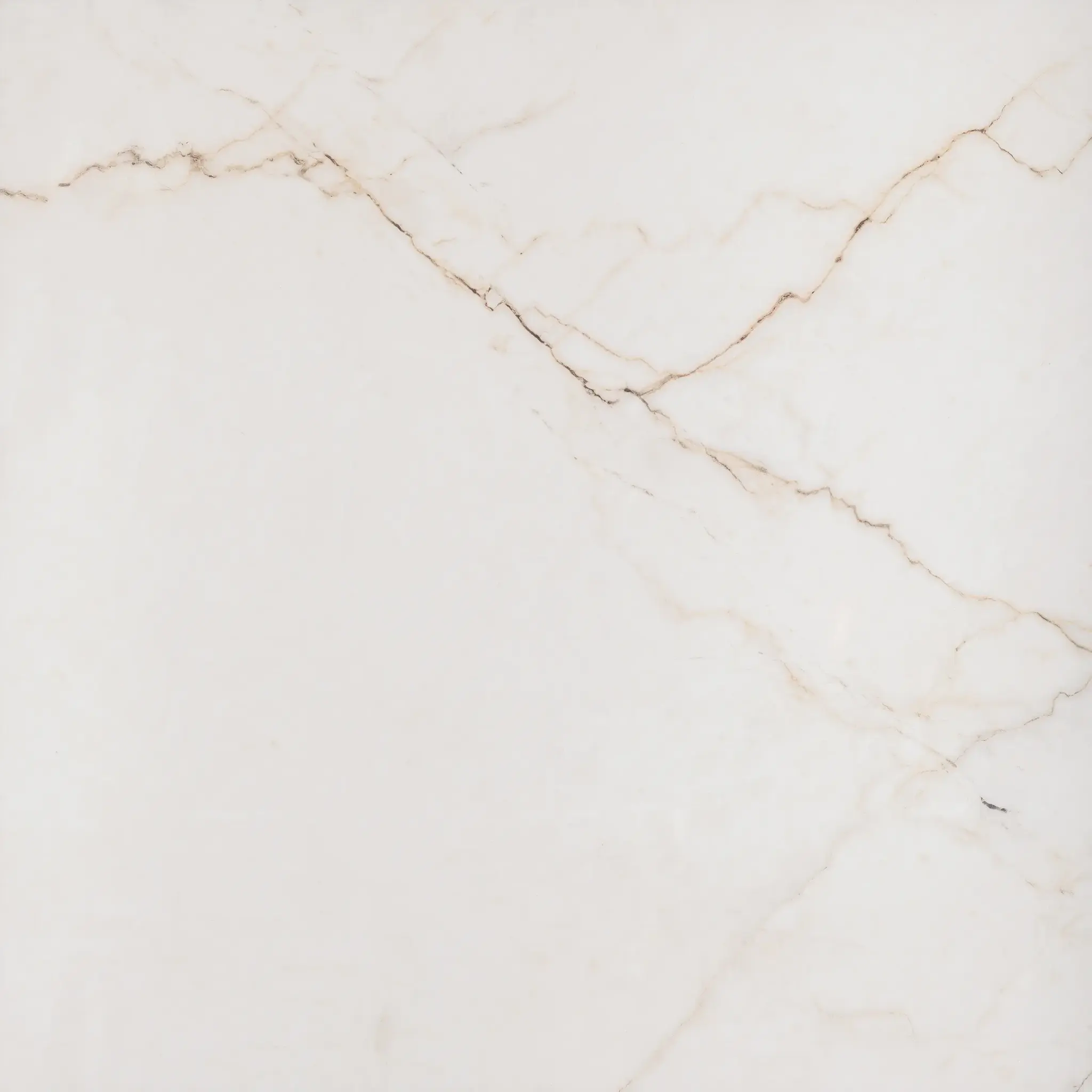 Liberte Ivory 24x24 Polished Porcelain Tile