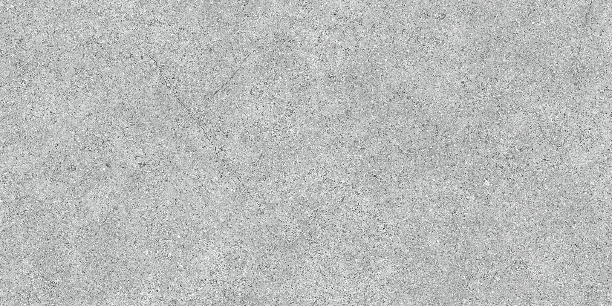 Nark Gray 24x48 Matte Porcelain Tile