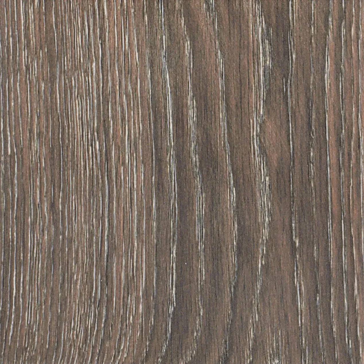 Patch Brown 8x8 Matte Porcelain Tile