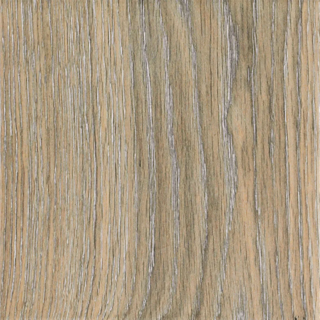 Patch Natural 8x8 Matte Porcelain Tile
