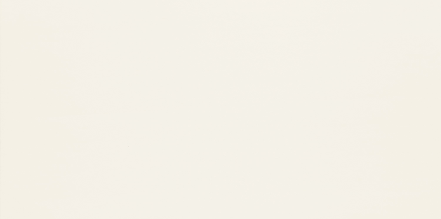 Duo Sample - Duo White 12X24 Matte Ceramic Wall Tile