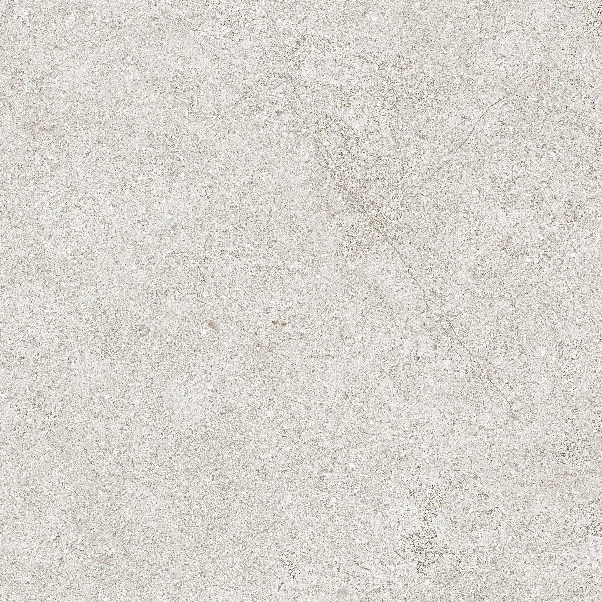 Nark Sample - Nark Beige 24x24 Matte Ceramic Wall Tile