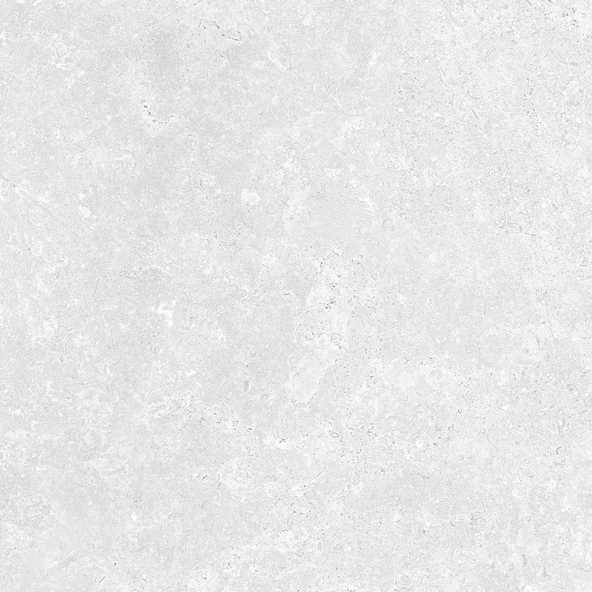 Nark Sample - Nark White 24x24 Matte Porcelain Tile