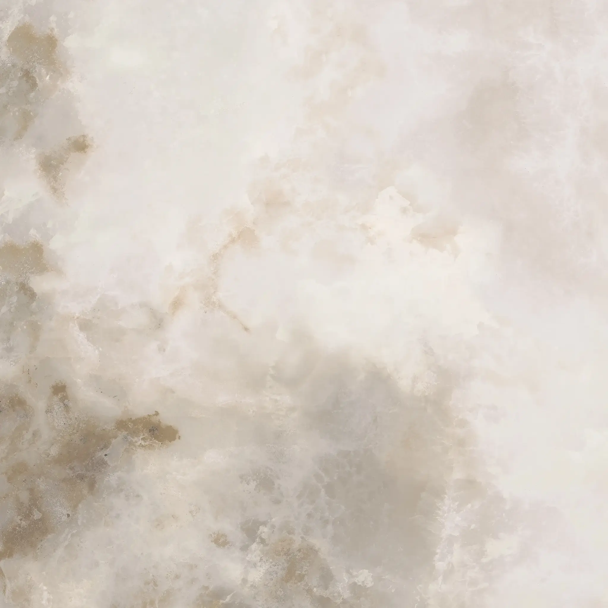 Onice Bianco Sample - Onice Bianco 24x24 Matte Porcelain Tile