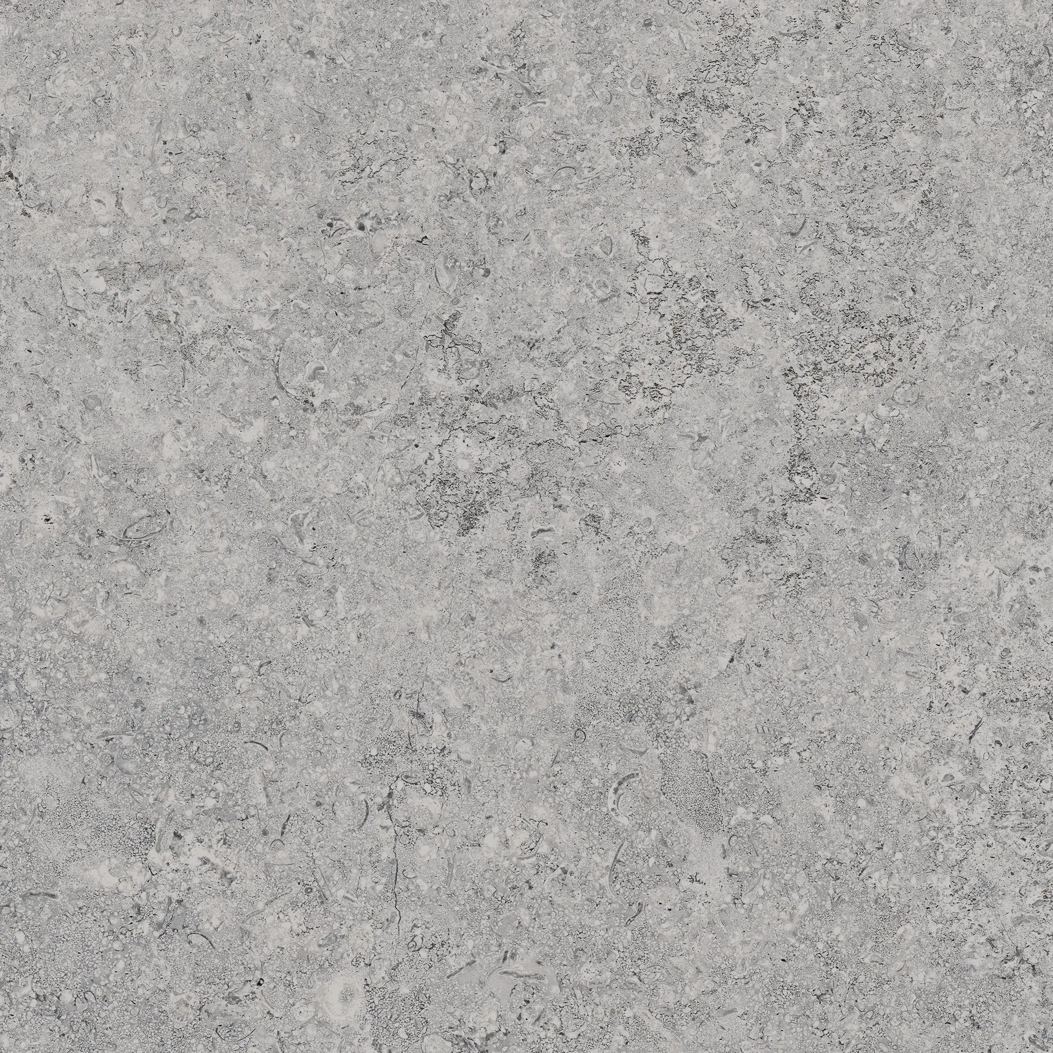 Zimba Light Gray 24x24 Matte Stone Look Structure Porcelain Tile
