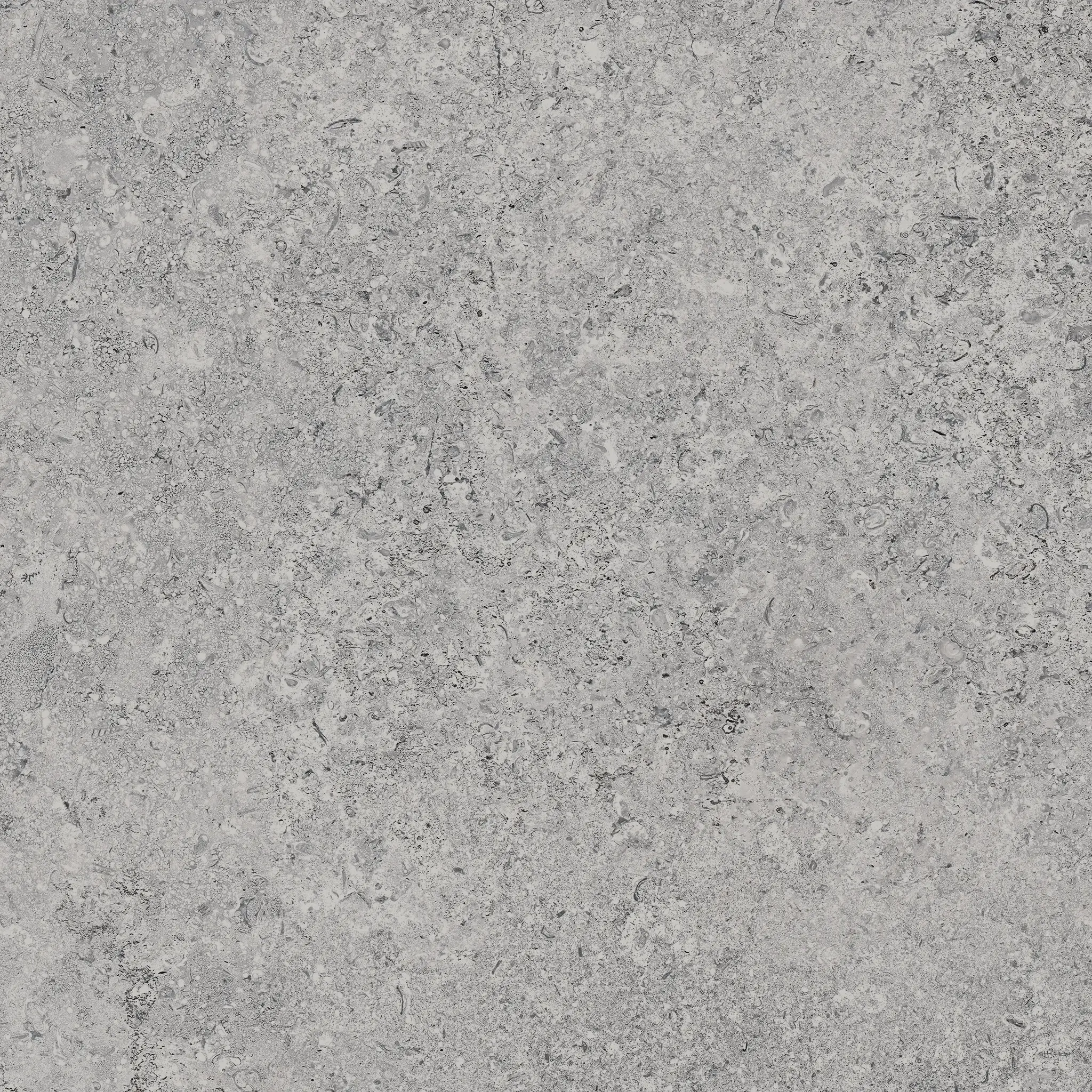 Zimba Light Gray 24x24 Matte Stone Look Structure Porcelain Tile