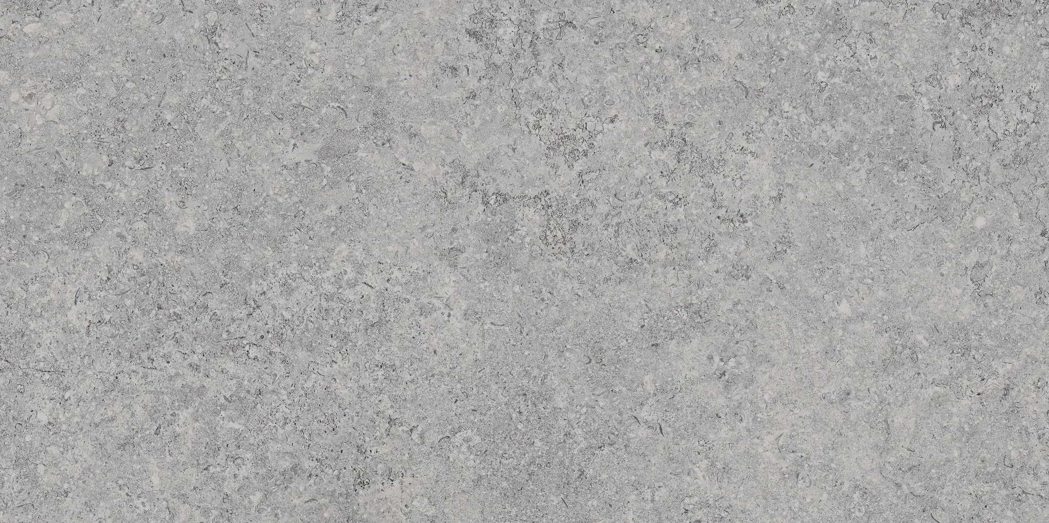 Zimba Light Gray 24x48 Matte Stone Look Structure Porcelain Tile