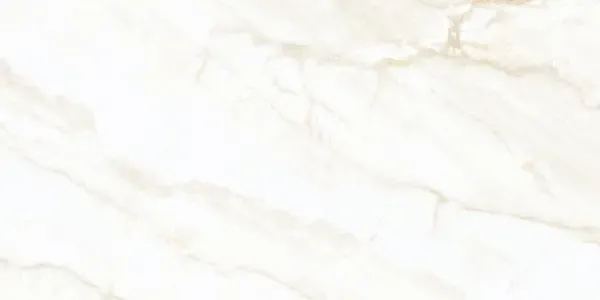 Sample - Arke Bone 12x24 Polished Porcelain Tile