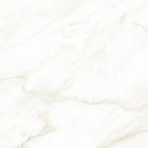 Arke Bone 12x24 Matte Porcelain Tile