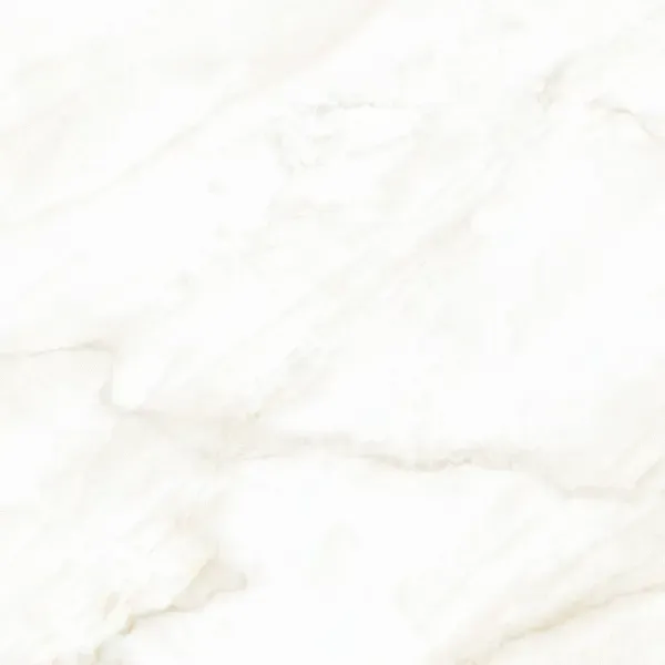 Sample - Arke Bone 12x24 Matte Porcelain Tile