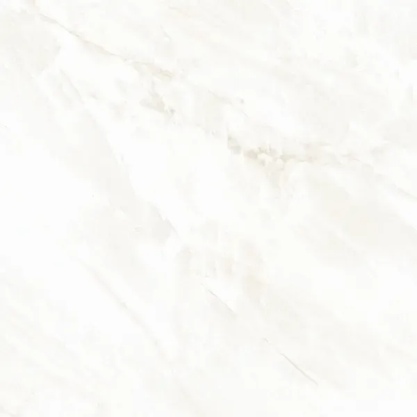 Arke Bone 24x24 Matte Porcelain Tile