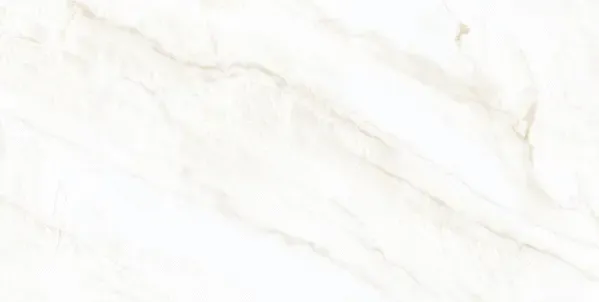 Arke Bone 24x48 Matte Porcelain Tile